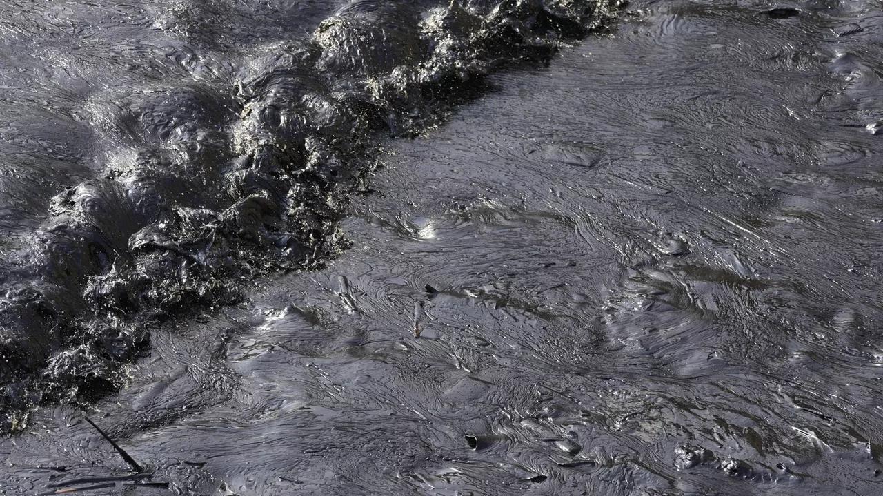 Russian Researchers Discover Bacteria With Ability to Decompose Oil Russian Researchers Discover Bacteria With Ability to Decompose Oil