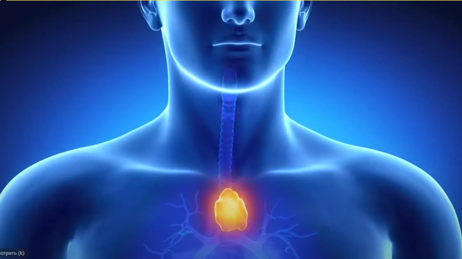 Study Reveals 'Useless' Thymus Gland May Greatly Reduce Cancer Risk Study Reveals 'Useless' Thymus Gland May Greatly Reduce Cancer Risk
