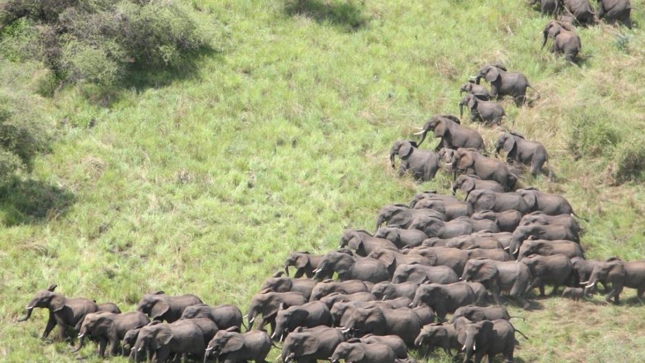 2023 World Tourism Day: Parliament urged to enact Wildlife, Tourism bills 2023 World Tourism Day: Parliament urged to enact Wildlife, Tourism bills