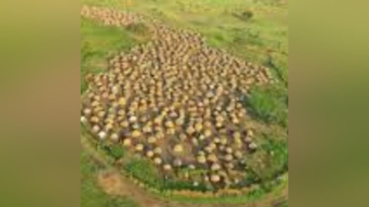 GPAA: Prices skyrocket as commodity shortage hits Jebel Boma County GPAA: Prices skyrocket as commodity shortage hits Jebel Boma County