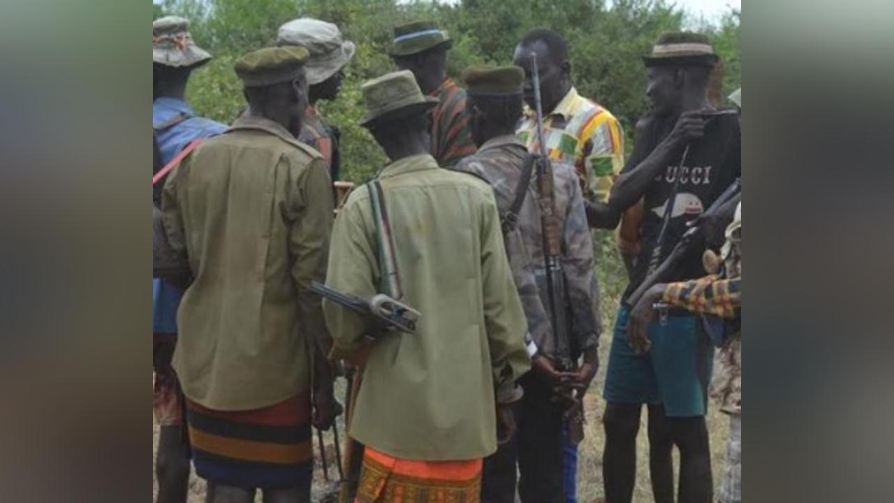 Toposa youth block Kapoeta-Pibor Road over child abductions, cattle raids Toposa youth block Kapoeta-Pibor Road over child abductions, cattle raids