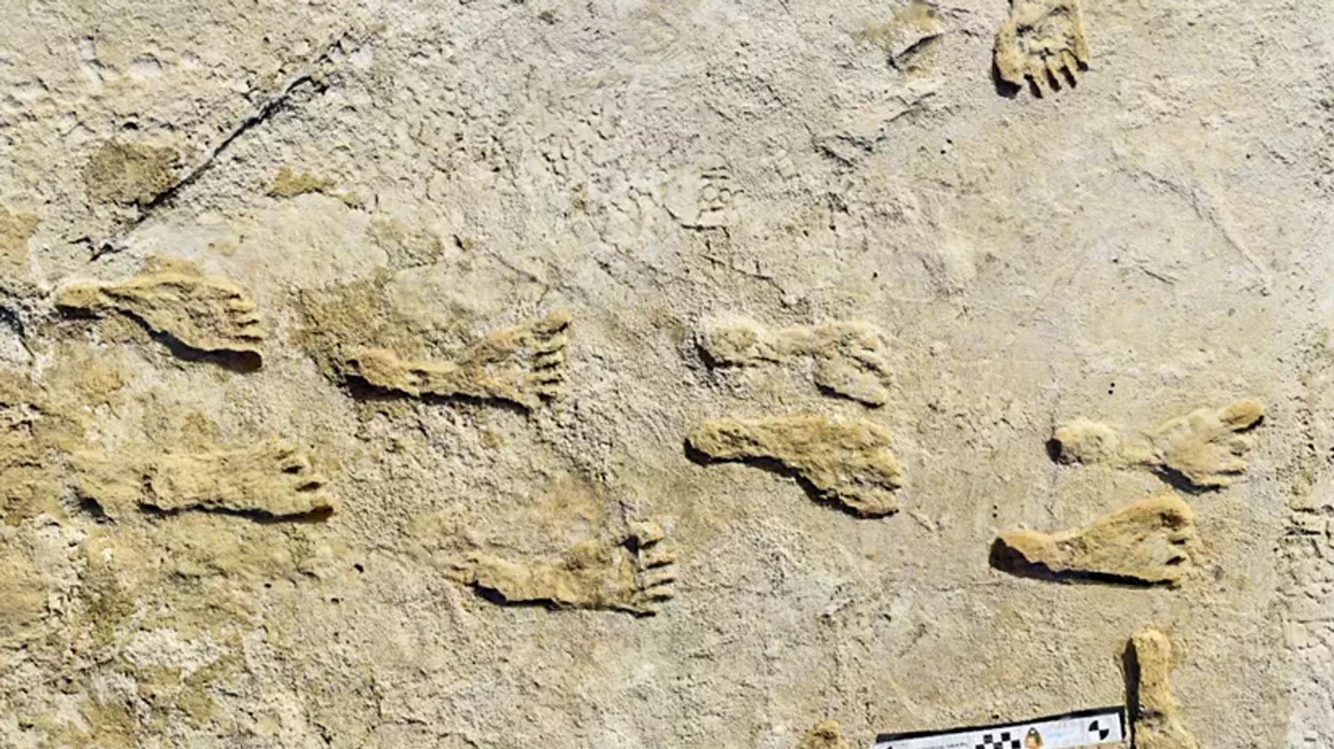 New Evidence Suggests Humans Arrived in the Americas Before Ice Age New Evidence Suggests Humans Arrived in the Americas Before Ice Age