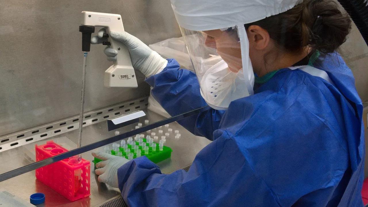 Scientists Suggest Using Glycine as Component in Medical Electronics Scientists Suggest Using Glycine as Component in Medical Electronics