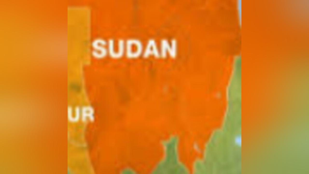 Darfur media body welcomes UN resolution to probe Sudan abuses Darfur media body welcomes UN resolution to probe Sudan abuses