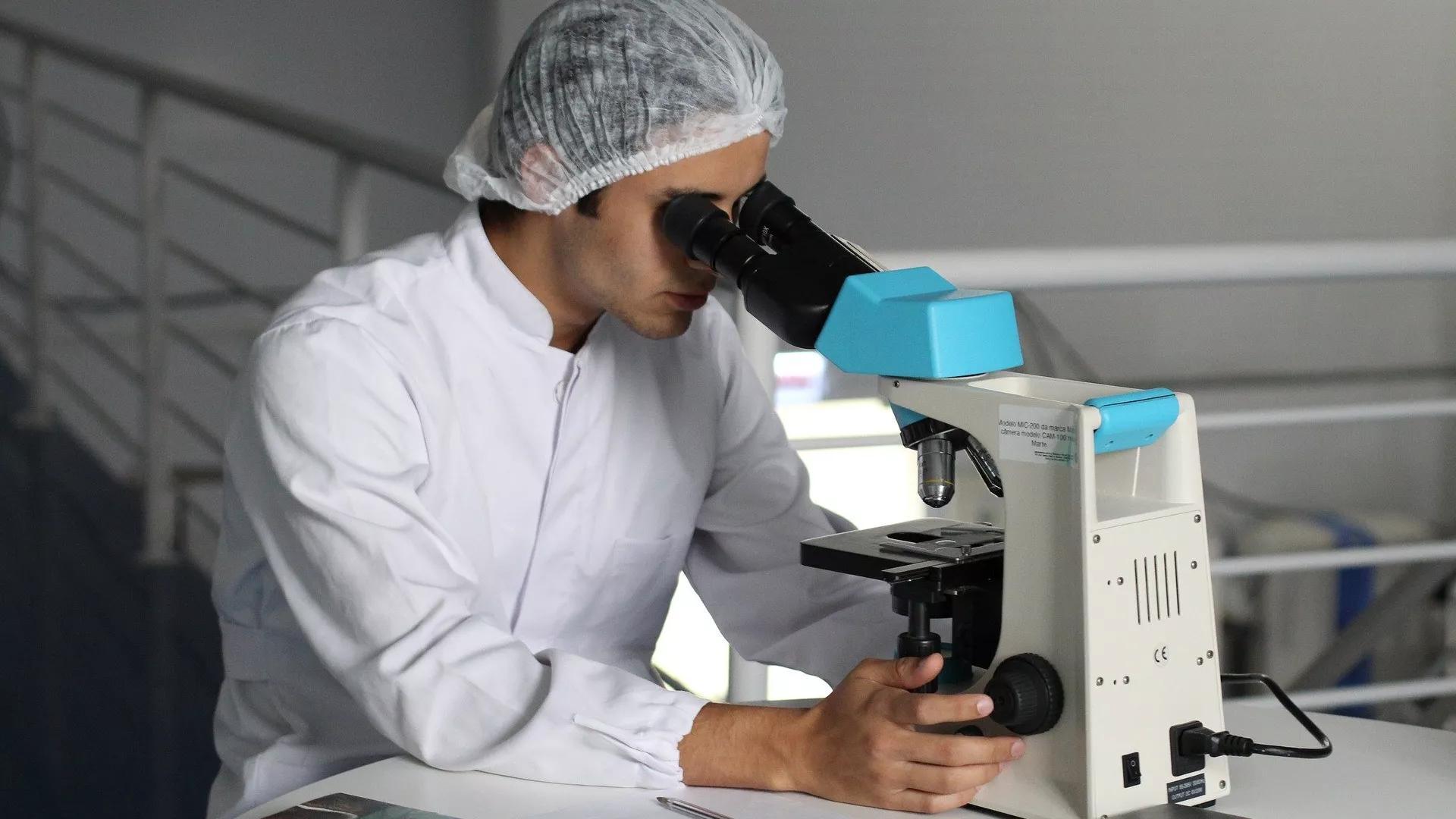 Scientists Develop Hedge Hyssop Extract for Advanced Cancer Treatment Scientists Develop Hedge Hyssop Extract for Advanced Cancer Treatment