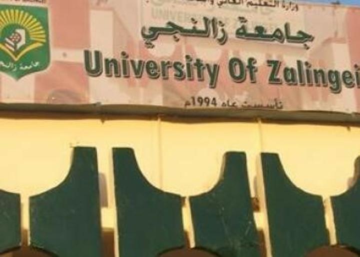 Zalingei University unprepared to resume lectures, says scholar Zalingei University unprepared to resume lectures, says scholar