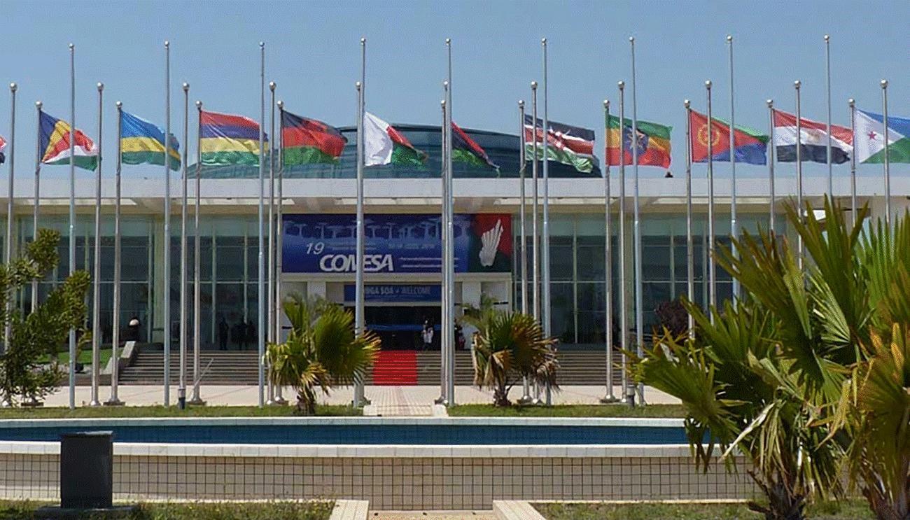 South Sudan tipped to join economic bloc COMESA South Sudan tipped to join economic bloc COMESA