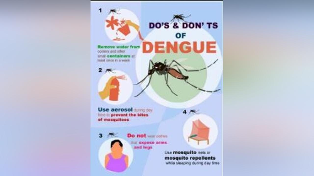 488 cases of dengue fever reported in North Darfur - South Sudan