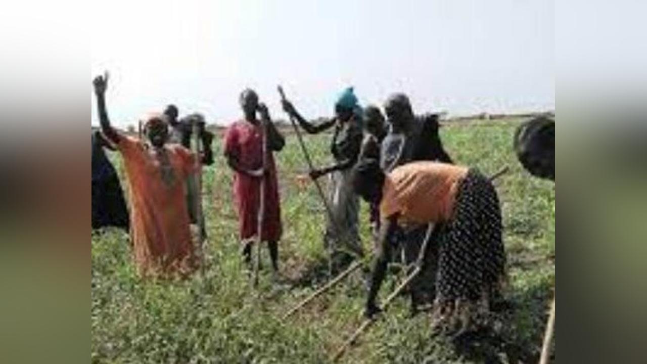 Ngok-Twic conflict hampers agriculture, education: Abyei paramount chief