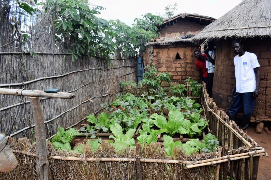 Backyard farming: A solution to food insecurity and poverty in South ...