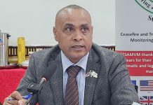 Violence plagues South Sudan security landscape, warn ceasefire monitors Violence plagues South Sudan security landscape, warn ceasefire monitors