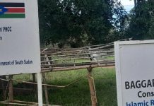 Wau County health facilities gasping for breath Wau County health facilities gasping for breath