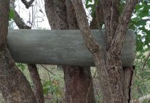 Communities in Magwi County Urged to Embrace Beekeeping Communities in Magwi County Urged to Embrace Beekeeping