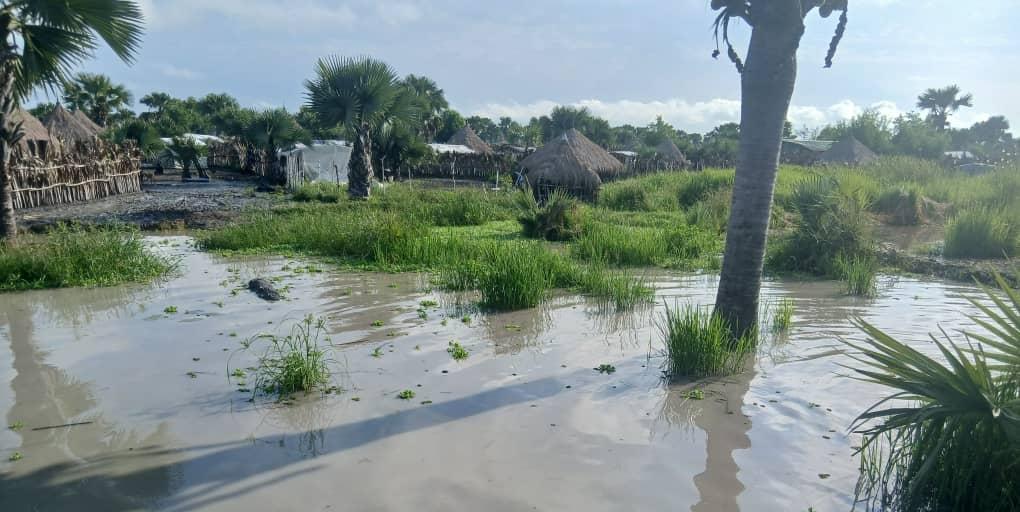 Floods displace 50,000 people in Unity State’s Leer County Floods displace 50,000 people in Unity State’s Leer County