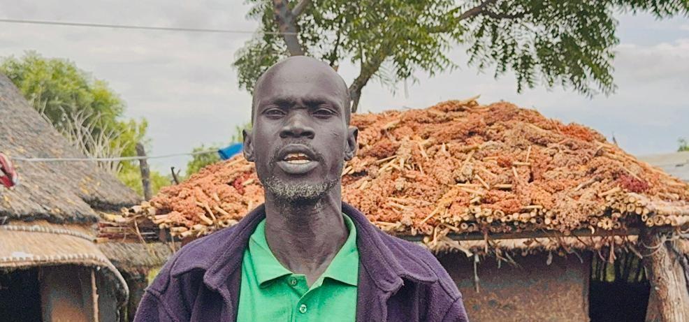 Cultivating a future: Akobo farmers look to peace and plows Cultivating a future: Akobo farmers look to peace and plows