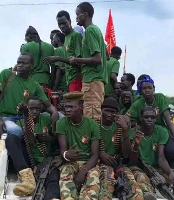 Experts Warn Military Crackdown on Red Belt Endangers Civilians Experts Warn Military Crackdown on Red Belt Endangers Civilians