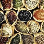 Yei Sees Improved Farming Amid Insecurity and Poor Roads Yei Sees Improved Farming Amid Insecurity and Poor Roads