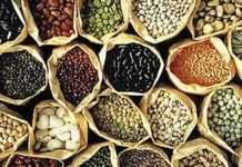 Yei Sees Improved Farming Amid Insecurity and Poor Roads Yei Sees Improved Farming Amid Insecurity and Poor Roads