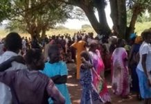 Three dead in Mundri East after collapse of health services Three dead in Mundri East after collapse of health services