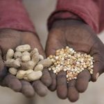 Millions at risk as South Sudan faces deepening hunger Millions at risk as South Sudan faces deepening hunger