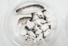 Scientists Extend Life Cycle of Hydrogen Fuel Cells Scientists Extend Life Cycle of Hydrogen Fuel Cells