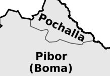 Greater Pibor Launches Commissioners Forum for Local Institutions Greater Pibor Launches Commissioners Forum for Local Institutions