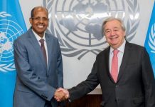 UN African Union Commit to Enhanced Peace Development UN African Union Commit to Enhanced Peace Development