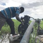 South Sudan Eyes Irrigation Expansion for Food Security South Sudan Eyes Irrigation Expansion for Food Security