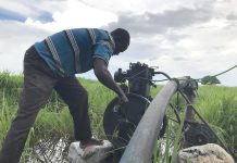 South Sudan Eyes Irrigation Expansion for Food Security South Sudan Eyes Irrigation Expansion for Food Security