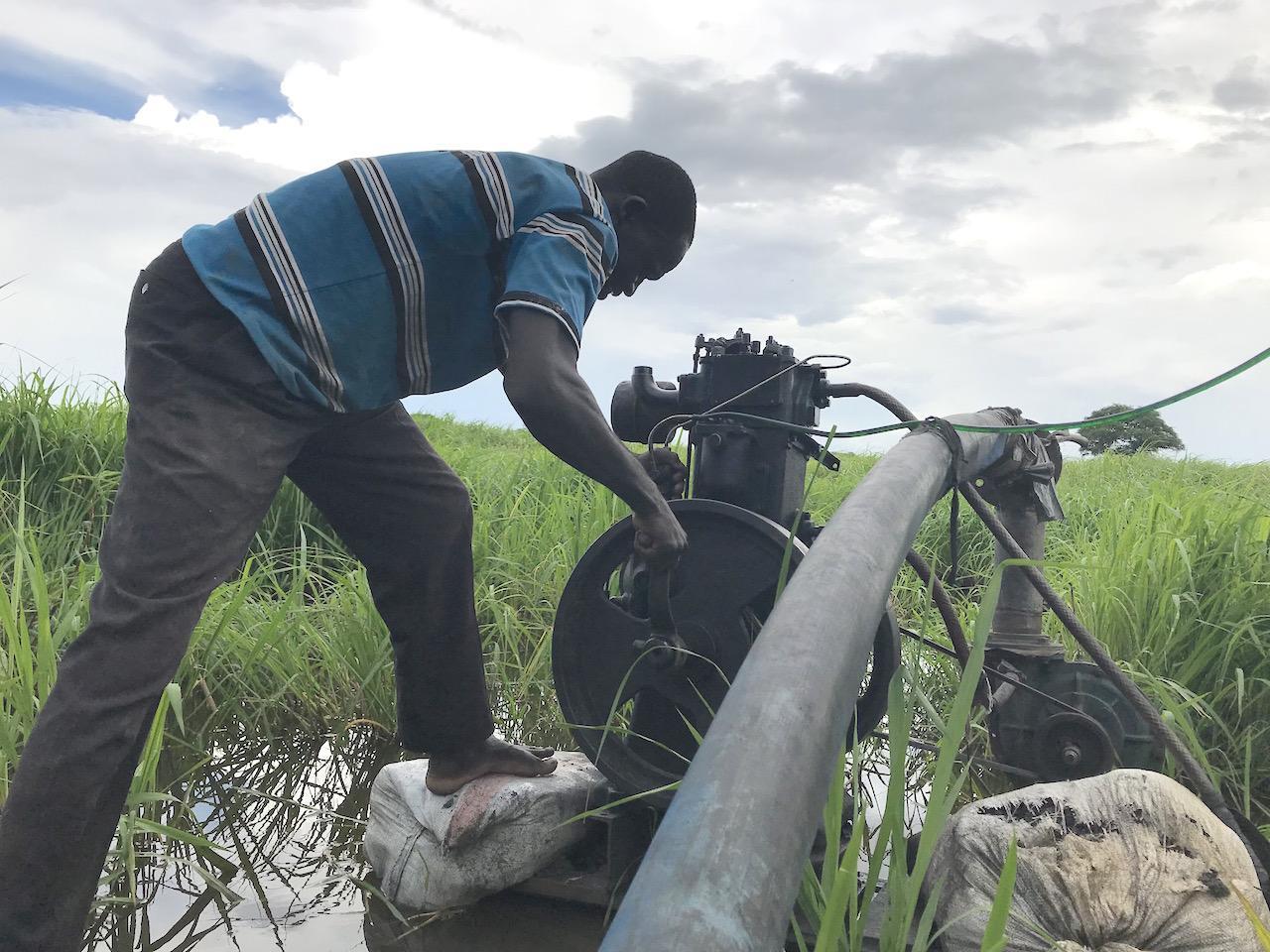South Sudan Eyes Irrigation Expansion for Food Security South Sudan Eyes Irrigation Expansion for Food Security