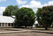 Change Resistance and Its Consequences in Healthcare Change Resistance and Its Consequences in Healthcare