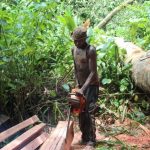 Yambio County commissioner bans foreigners from logging Yambio County commissioner bans foreigners from logging