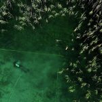 Europe’s Oldest Stilt Village Discovered at Lake Ohrid Europe's Oldest Stilt Village Discovered at Lake Ohrid