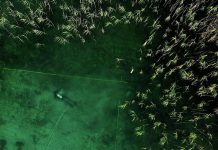 Europe’s Oldest Stilt Village Discovered at Lake Ohrid Europe's Oldest Stilt Village Discovered at Lake Ohrid