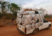 Magwi Commissioner Bans Charcoal Exports Immediately Magwi Commissioner Bans Charcoal Exports Immediately