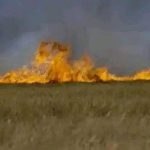 Five Women Including Four Girls Killed in Tonj North Fire Five Women Including Four Girls Killed in Tonj North Fire