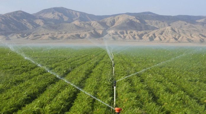 Amateur Metal Detectorist Discovers Bronze Age Jewelry Amateur Metal Detectorist Discovers Bronze Age Jewelry