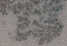 Astronomers Discover Spiders on Mars Not Ziggy Stardust Astronomers Discover Spiders on Mars Not Ziggy Stardust