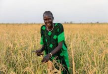 Norway pledges USD 12.7 million to WFP in South Sudan Norway pledges USD 12.7 million to WFP in South Sudan