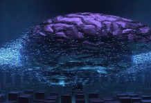 Neuralink and Risks of Human AI Symbiosis Neuralink and Risks of Human AI Symbiosis