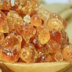 Renk County launches Gum Arabic production season to boost local economy Renk County launches Gum Arabic production season to boost local economy