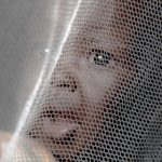 Gov’t to Distribute 9.5 Million Mosquito Nets Nationwide Gov't to Distribute 9.5 Million Mosquito Nets Nationwide