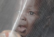 Gov’t to Distribute 9.5 Million Mosquito Nets Nationwide Gov't to Distribute 9.5 Million Mosquito Nets Nationwide