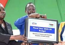 South Sudan to Rely on Fresh Borrowing Amid Budget Gap South Sudan to Rely on Fresh Borrowing Amid Budget Gap