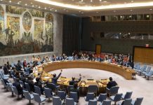 Open Letter to the President of the UN Security Council Open Letter to the President of the UN Security Council