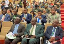 Ateny Joins AU Summit on Democracy and Public Trust Ateny Joins AU Summit on Democracy and Public Trust