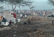 Local Official Blames Government Forces for Attacks Local Official Blames Government Forces for Attacks