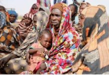UN Reports Surging Humanitarian Needs in Sudan UN Reports Surging Humanitarian Needs in Sudan