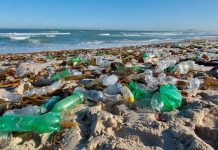 Russian Scientists Create Self-Degrading Plant-Based Plastic Russian Scientists Create Self-Degrading Plant-Based Plastic