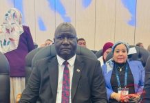 Government Vows Stronger Nile Basin Cooperation Ahead Government Vows Stronger Nile Basin Cooperation Ahead